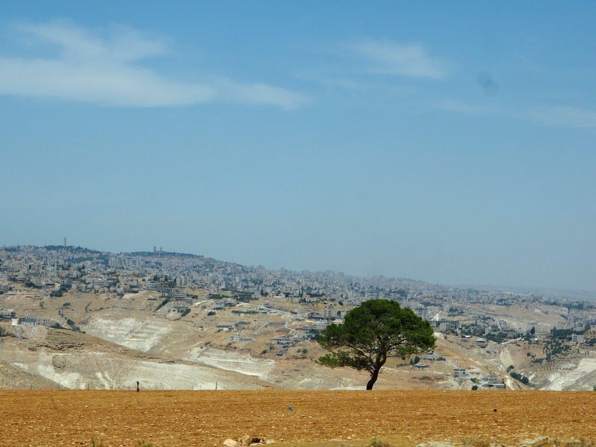 Uma fotografia de uma paisagem árida, com alguns vales de pequena dimensão. Nesta fotografia vemos num plano aproximado uma árvore, verdejante, e em plano de fundo, preenchendo os declives, algumas construções e edifícios, na sua maioria brancos. 