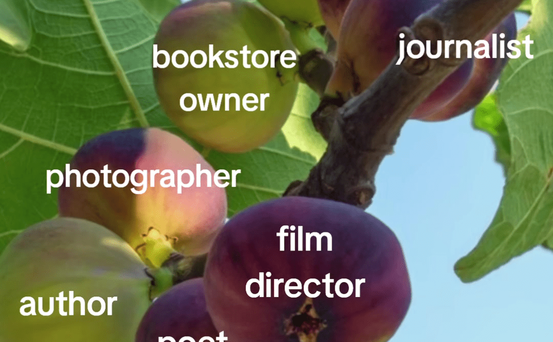 Captura de ecrã de um dos vídeos virais da fig tree theory, com vários figos com texto por cima.